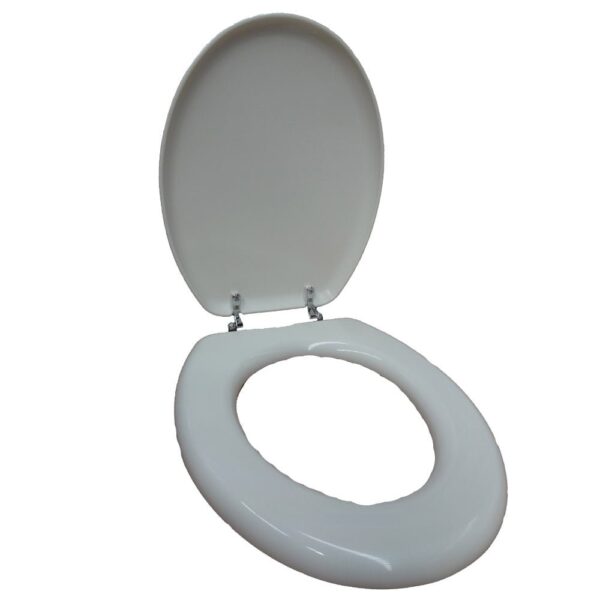 Glow in the Dark Toilet Seat