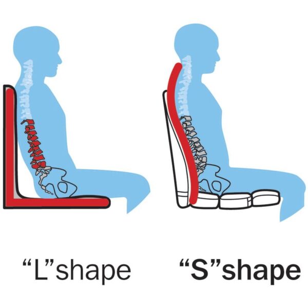 ObusForme Backrest Support - Image 4